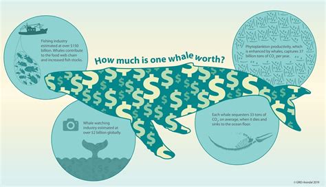 덴마크 gdp, 바다 속 고래의 경제적 영향력은?