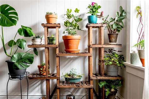 How to Grow Flowers Indoors: A Guide to Bringing Nature Inside Your Home