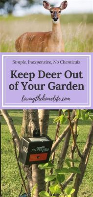 How to Keep Deer Away from Flowers: And Why They Might Prefer Your Neighbor's Garden