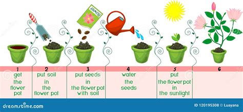 How to Plant Flowers from Seeds: A Journey Through Soil and Imagination