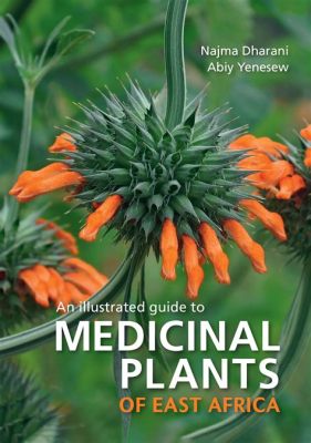  Medicinal Plants of Ethiopia: An Illustrated Guide - Eine Botanische Reise in die Geschichte der Heilkunst