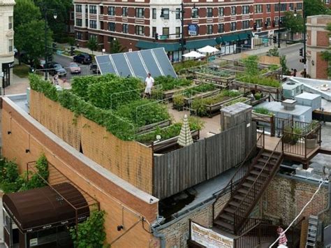 Rooftop Farming: A Guide to Growing Your Own Food - Ein poetisches Plädoyer für die grüne Oase über den Wolken!