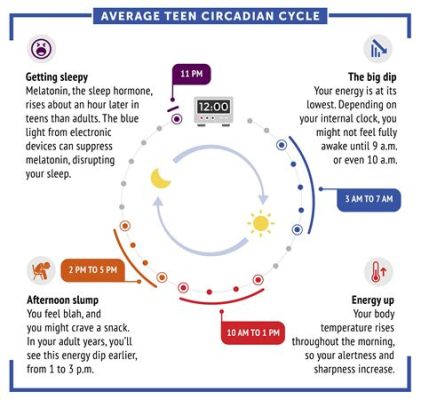  The 1-Hour Life: Discover Time's Hidden Rhythm