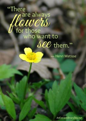 There are always flowers for those who want to see them, and sometimes, the flowers see you back.