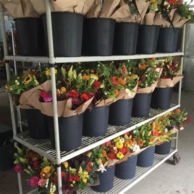 What Grocery Stores Sell Flowers: A Blooming Discussion on Unexpected Connections